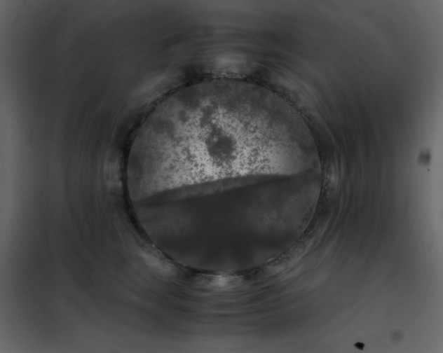 X0000102480663200808081306