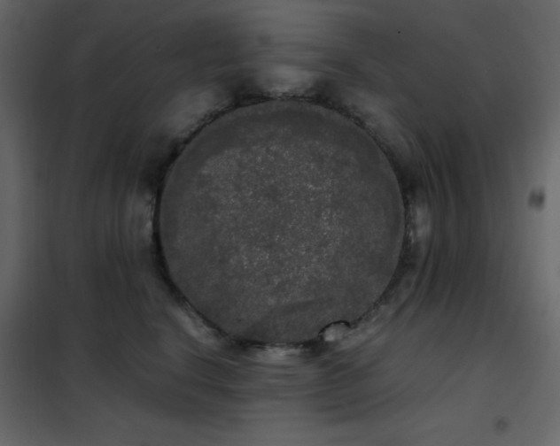 X0000102480664200808081306