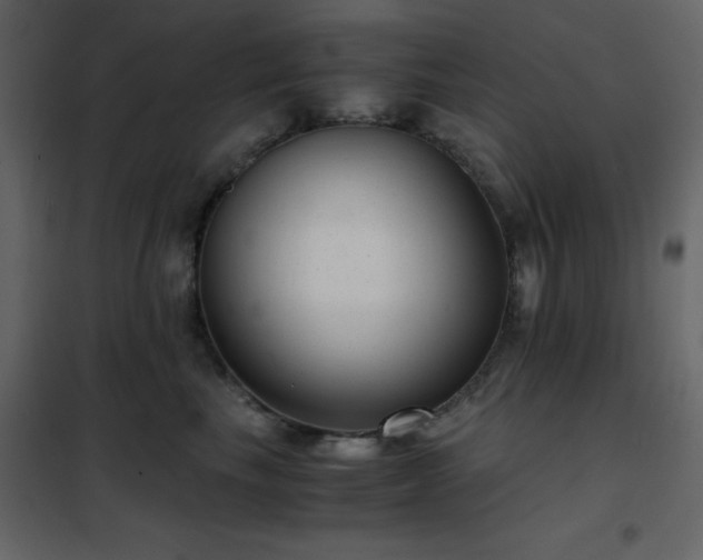 X0000102480665200808081306