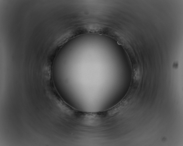 X0000102480666200808081306