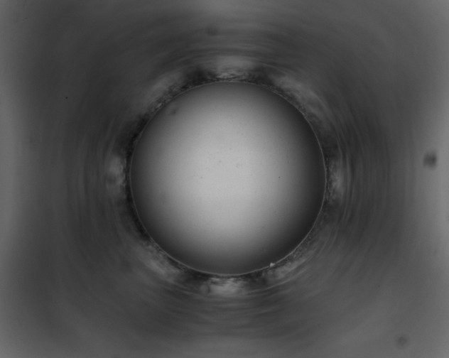 X0000102480667200808081306