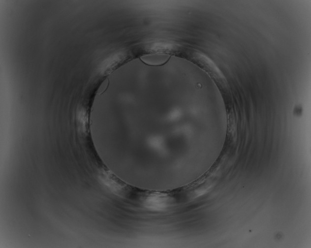 X0000102480669200808081306