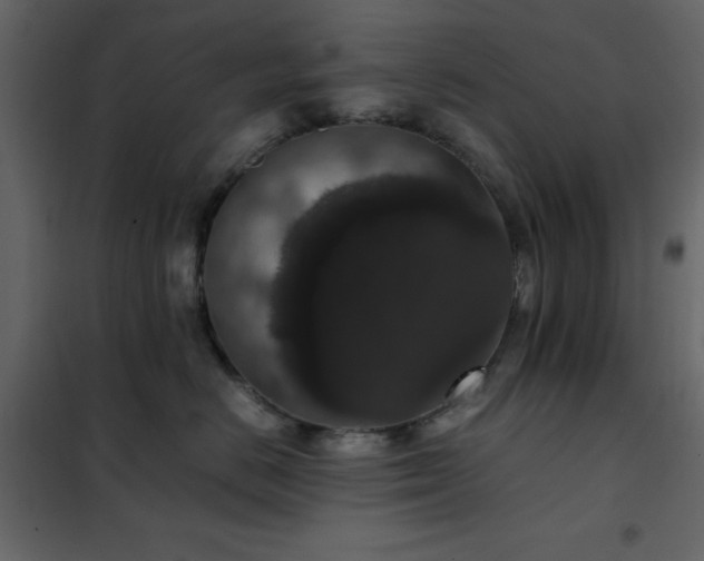 X0000102480670200808081306