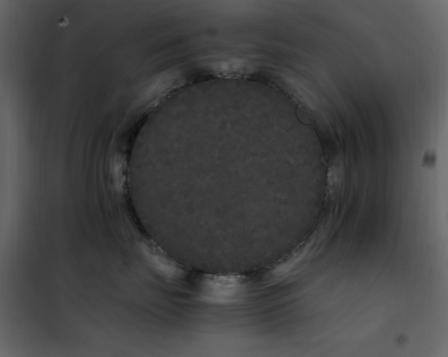 X0000102480671200808081306