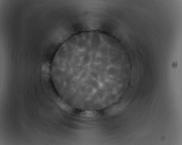 X0000102480672200808081306