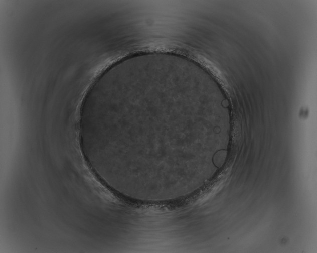X0000102480673200808081306