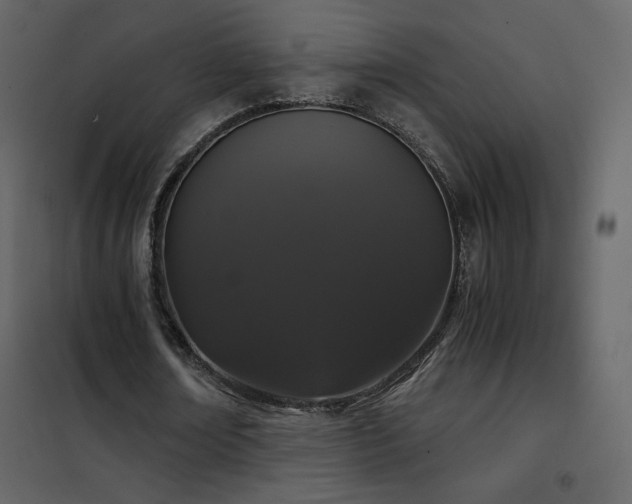 X0000102480674200808081306