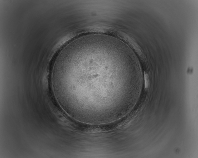 X0000102480675200808081306