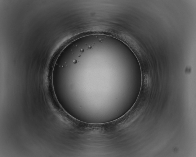 X0000102480676200808081306