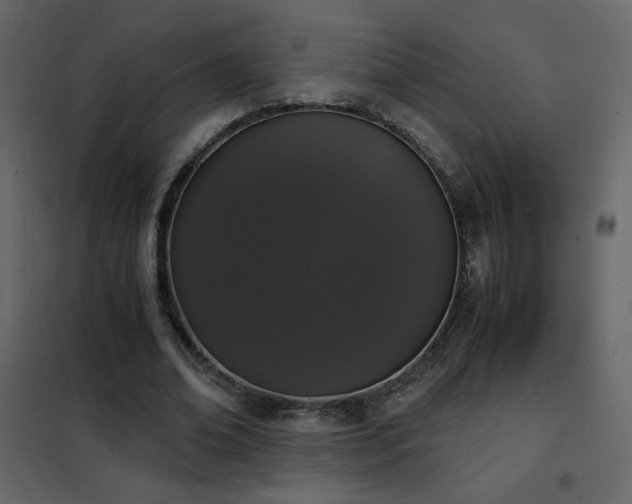 X0000102480678200808081306