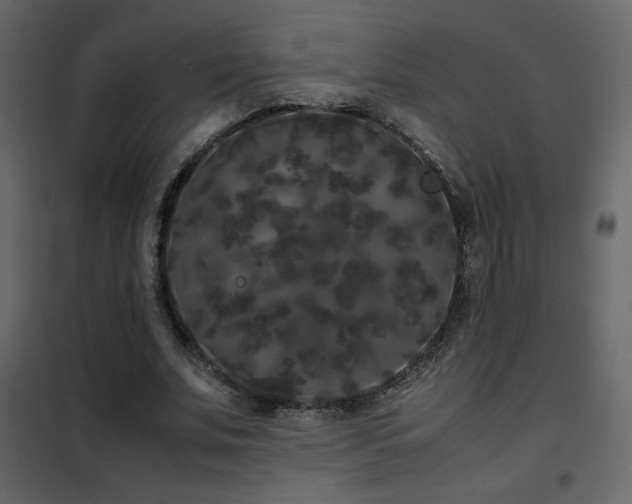 X0000102480679200808081306