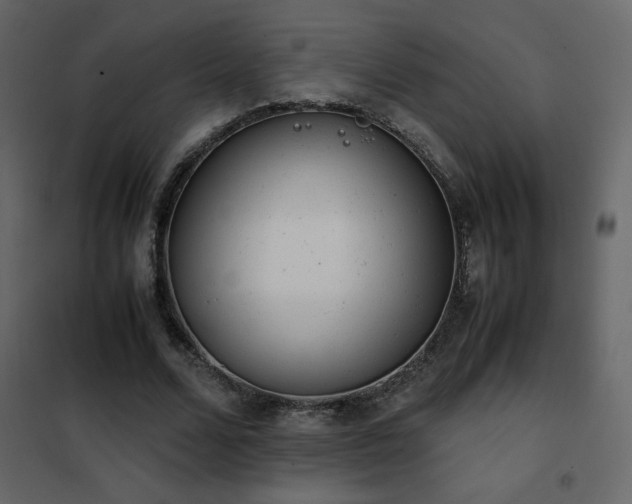 X0000102480680200808081306