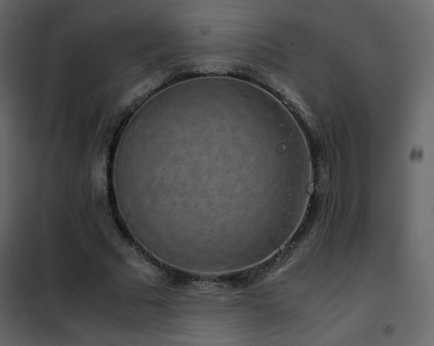 X0000102480681200808081306