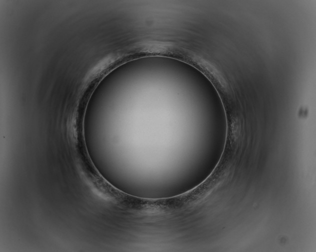 X0000102480682200808081306