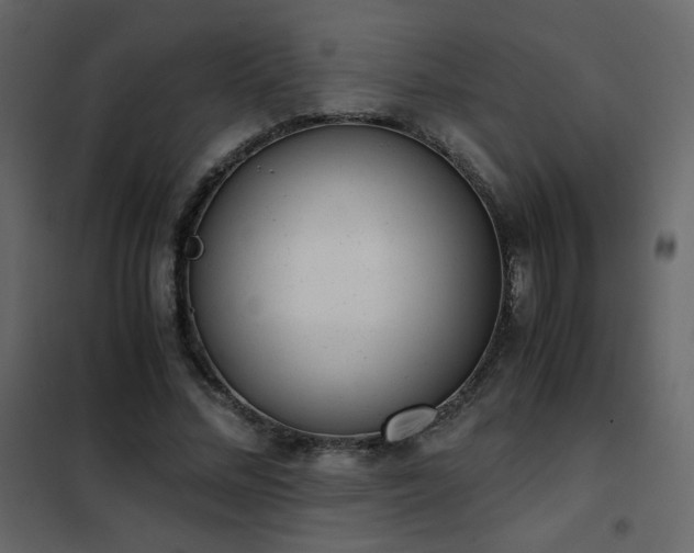 X0000102480684200808081306