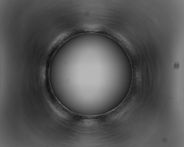 X0000102480686200808081306