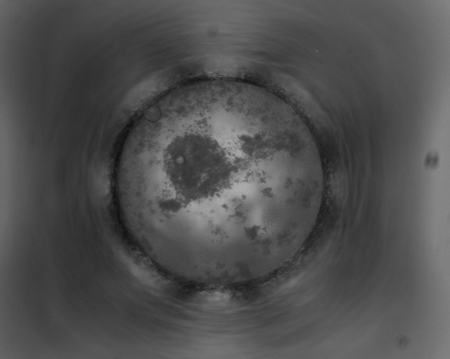 X0000102480687200808081306
