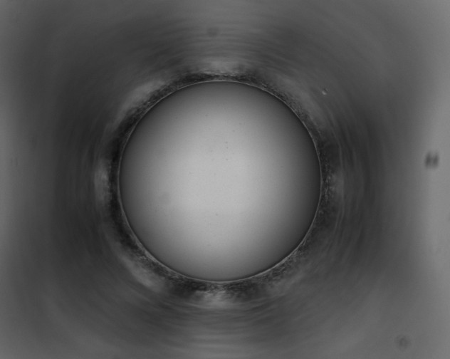 X0000102480688200808081305