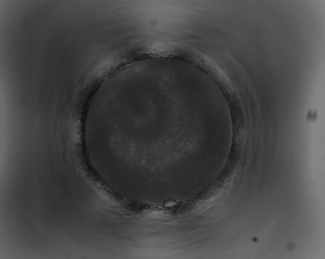 X0000102480689200808081305