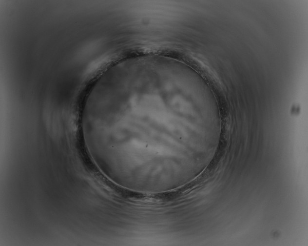 X0000102480691200808081305
