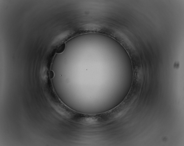 X0000102480692200808081305