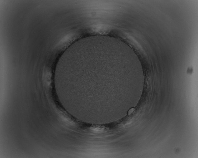 X0000102480693200808081305