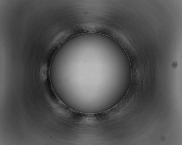 X0000102480694200808081305