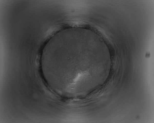 X0000102480695200808081305