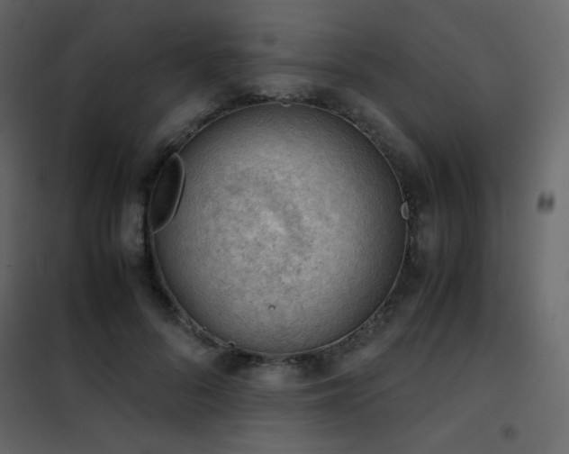 X0000102480696200808081305
