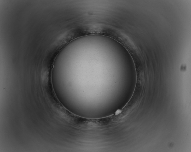 X0000102480697200808081305