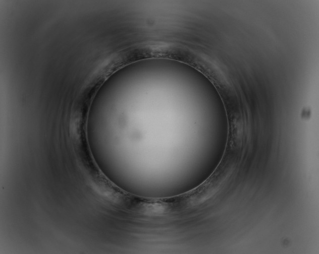 X0000102480698200808081305
