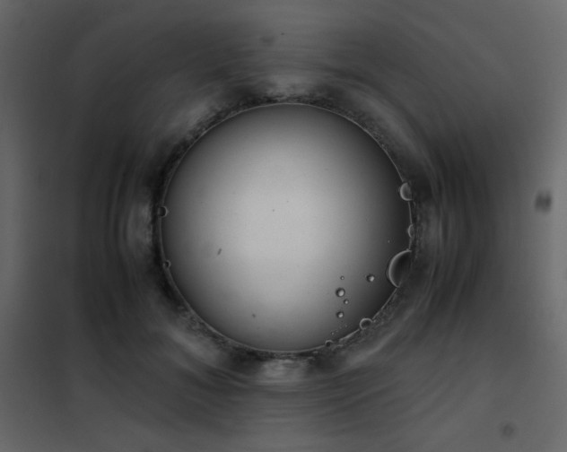 X0000102480700200808081305