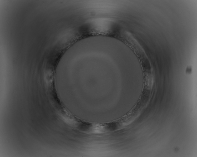 X0000102480701200808081305