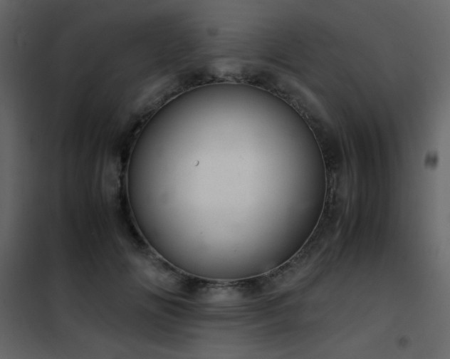 X0000102480702200808081305