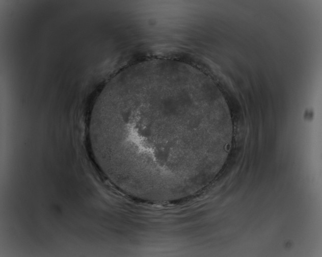 X0000102480703200808081305