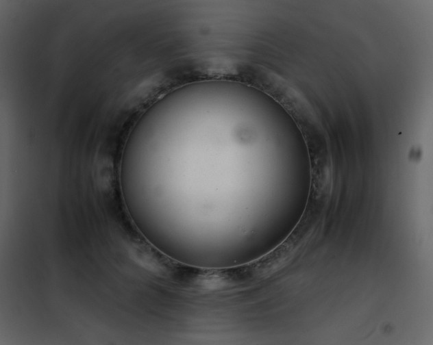 X0000102480704200808081305