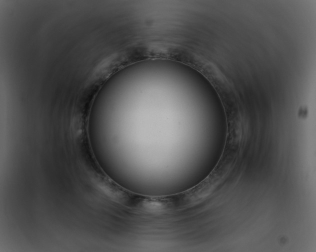 X0000102480706200808081305