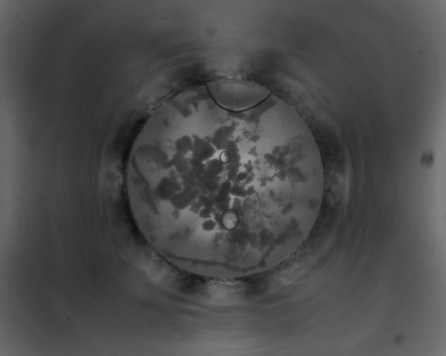 X0000102480707200808081305