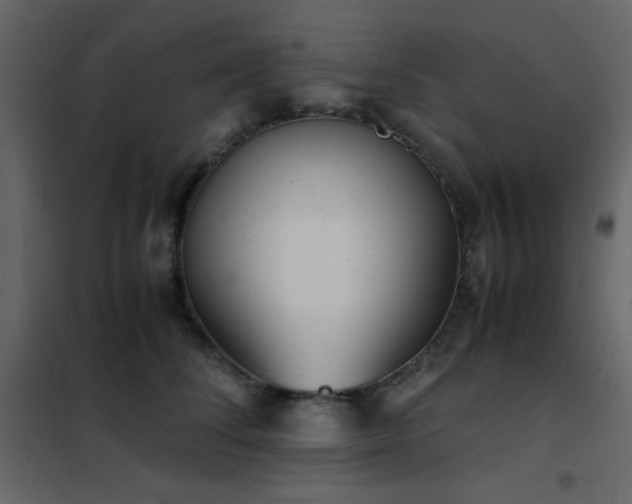 X0000102480708200808081305
