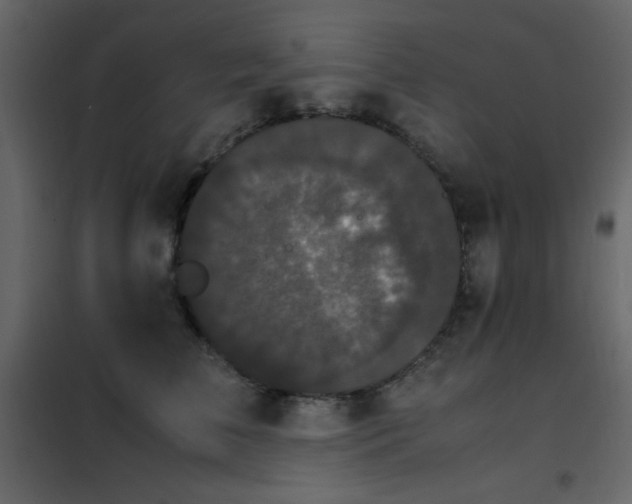 X0000102480709200808081305