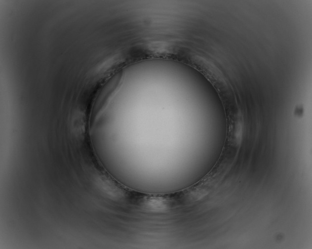 X0000102480710200808081305