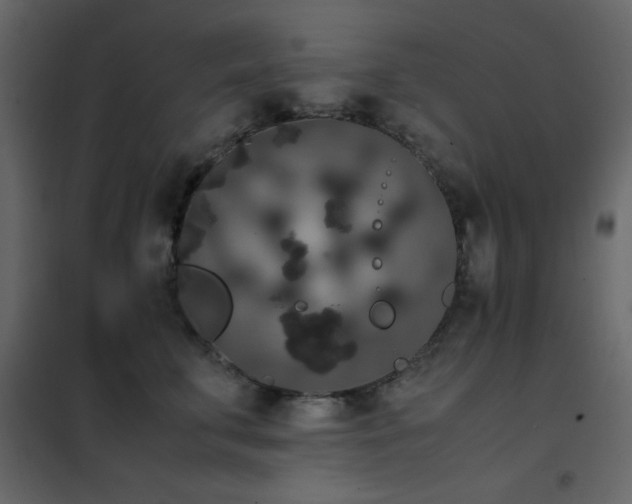 X0000102480711200808081305