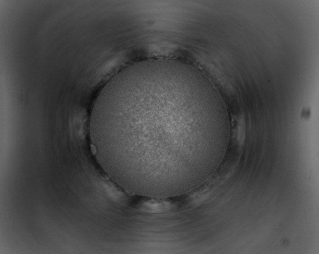 X0000102480712200808081305
