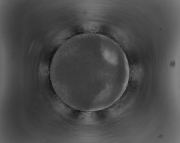 X0000102480713200808081305