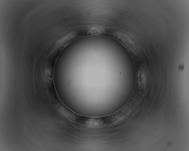 X0000102480714200808081305