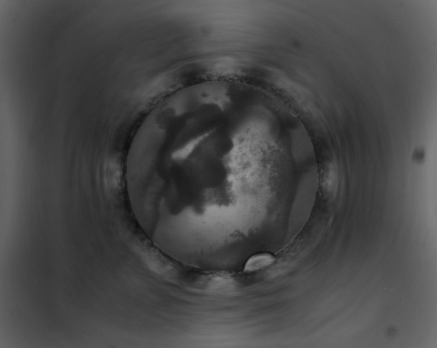 X0000102480715200808081305