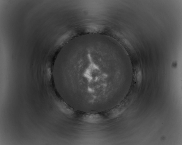 X0000102480716200808081305