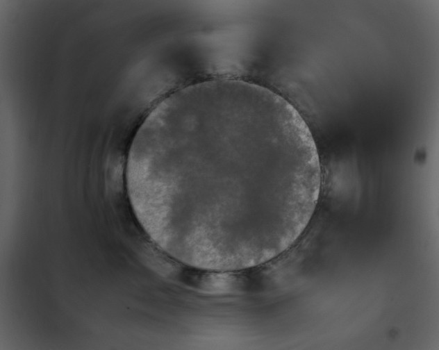 X0000102480717200808081305