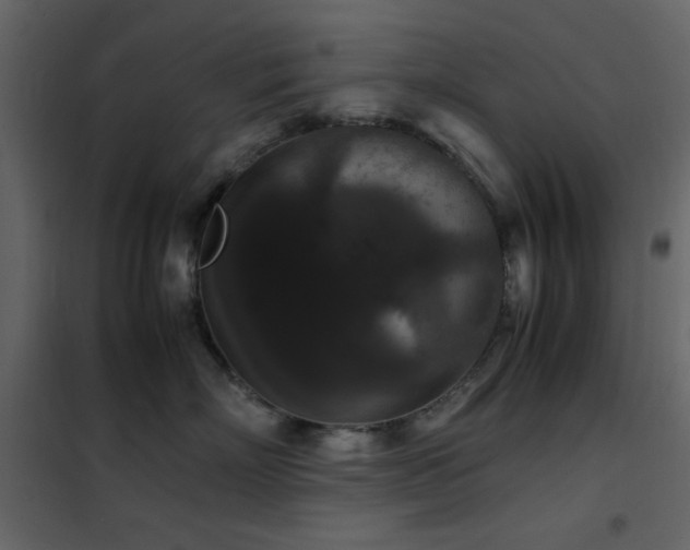 X0000102480718200808081305