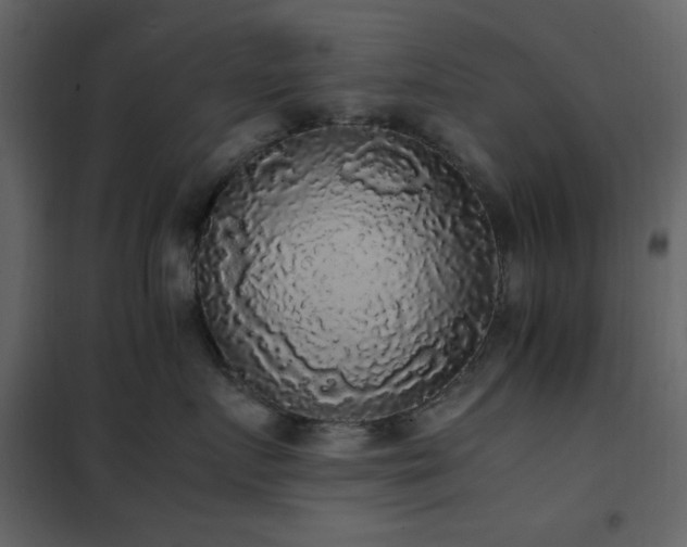 X0000102480719200808081305
